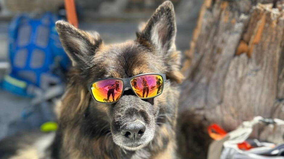 Alpinschule Bergfalke Alpinschule Bergfalke