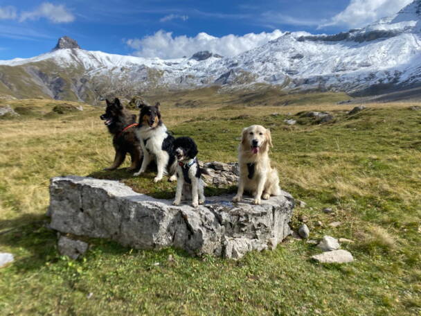 Alpinschule Bergfalke Alpinschule Bergfalke