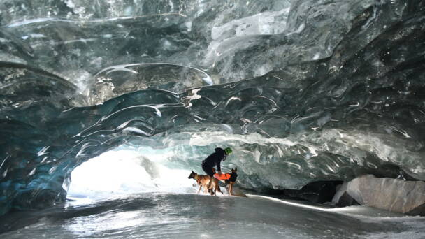 Alpinschule Bergfalke Alpinschule Bergfalke