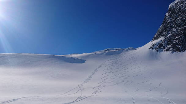 Alpinschule Bergfalke Alpinschule Bergfalke