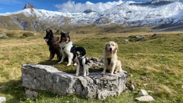 Alpinschule Bergfalke Alpinschule Bergfalke