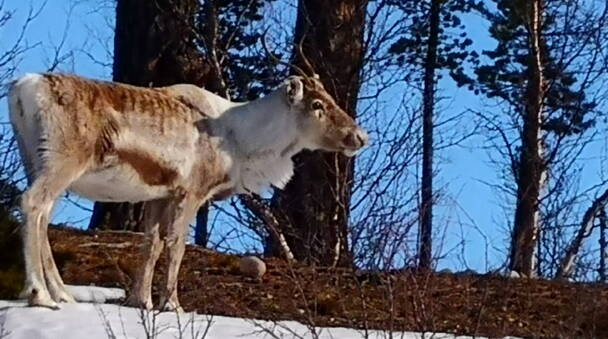 Alpinschule Bergfalke Alpinschule Bergfalke