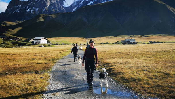 Alpinschule Bergfalke Alpinschule Bergfalke