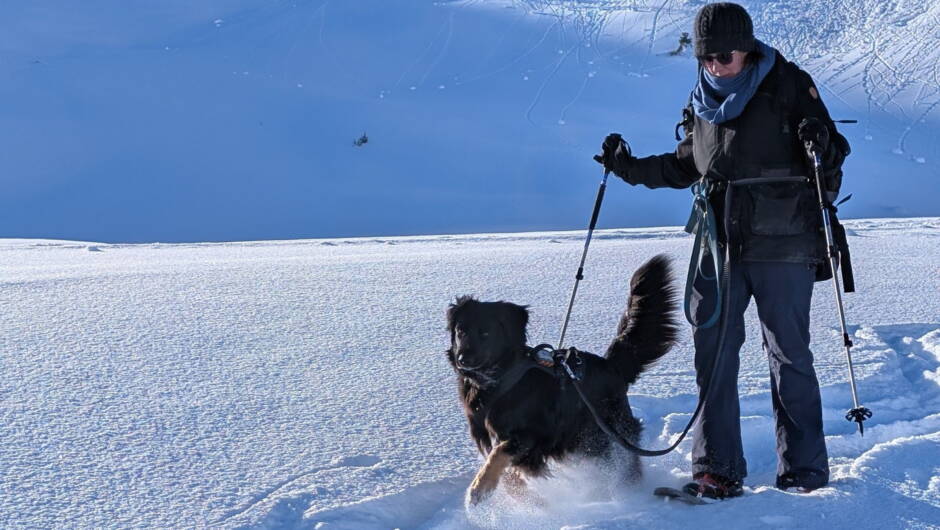 Alpinschule Bergfalke Alpinschule Bergfalke
