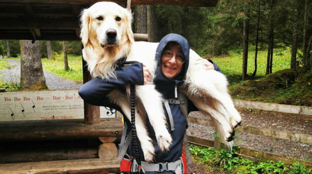 Alpinschule Bergfalke Alpinschule Bergfalke