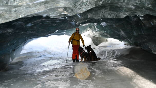 Alpinschule Bergfalke Alpinschule Bergfalke