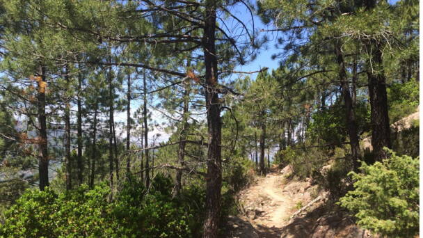 Alpinschule Bergfalke Alpinschule Bergfalke