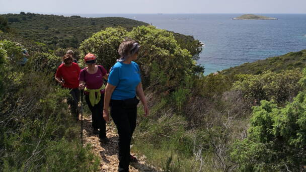 Alpinschule Bergfalke Alpinschule Bergfalke