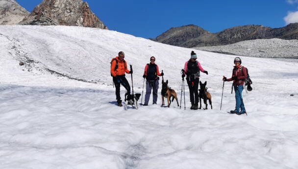 Alpinschule Bergfalke Alpinschule Bergfalke