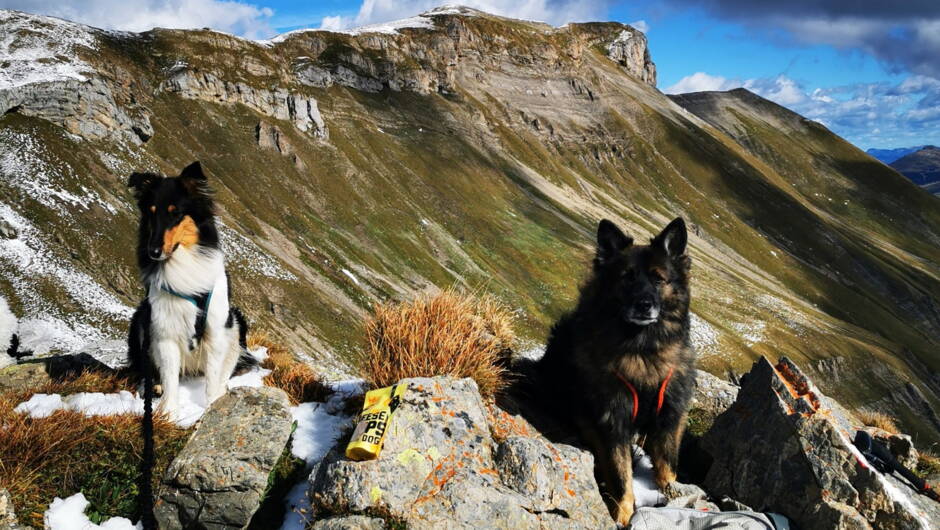 Alpinschule Bergfalke Alpinschule Bergfalke