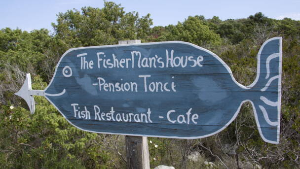 Alpinschule Bergfalke Alpinschule Bergfalke