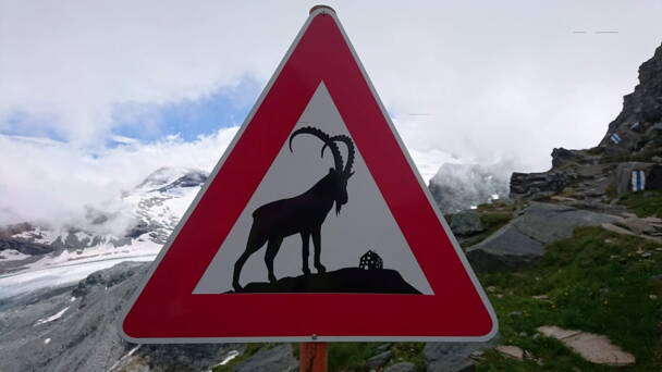 Alpinschule Bergfalke Alpinschule Bergfalke