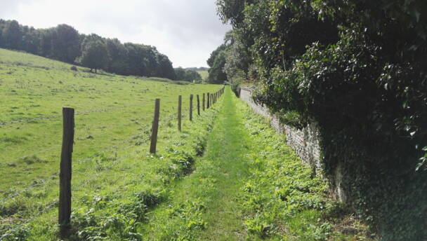 Alpinschule Bergfalke Alpinschule Bergfalke