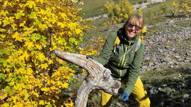 Alpinschule Bergfalke Alpinschule Bergfalke