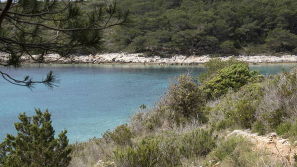 Alpinschule Bergfalke Alpinschule Bergfalke