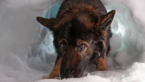 Alpinschule Bergfalke Alpinschule Bergfalke