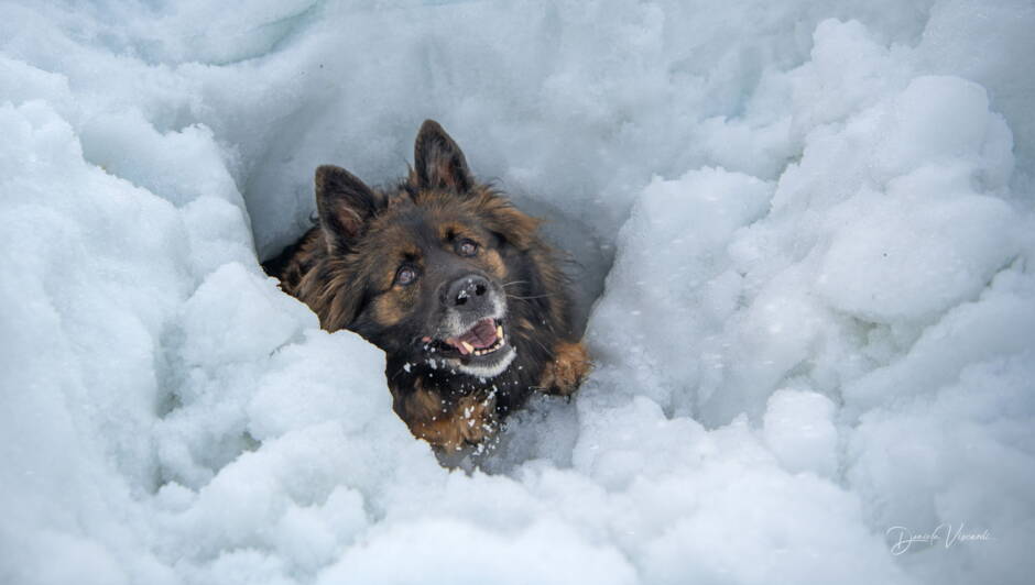 Alpinschule Bergfalke Alpinschule Bergfalke