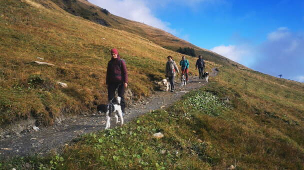 Alpinschule Bergfalke Alpinschule Bergfalke