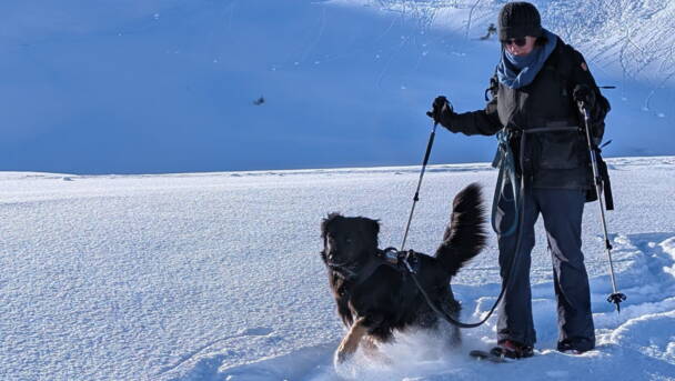 Alpinschule Bergfalke Alpinschule Bergfalke