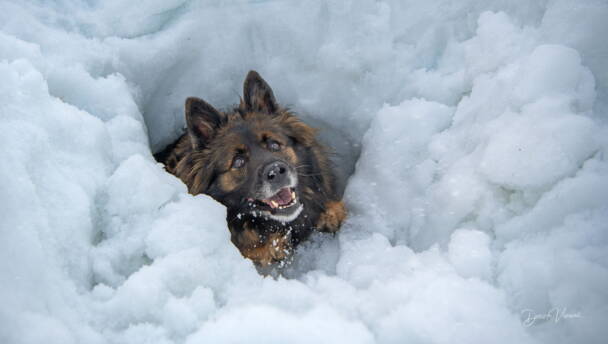 Alpinschule Bergfalke Alpinschule Bergfalke