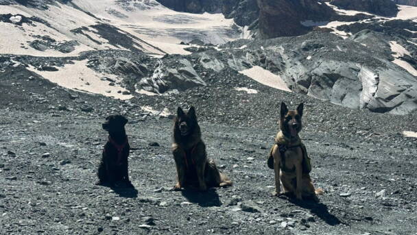 Alpinschule Bergfalke Alpinschule Bergfalke