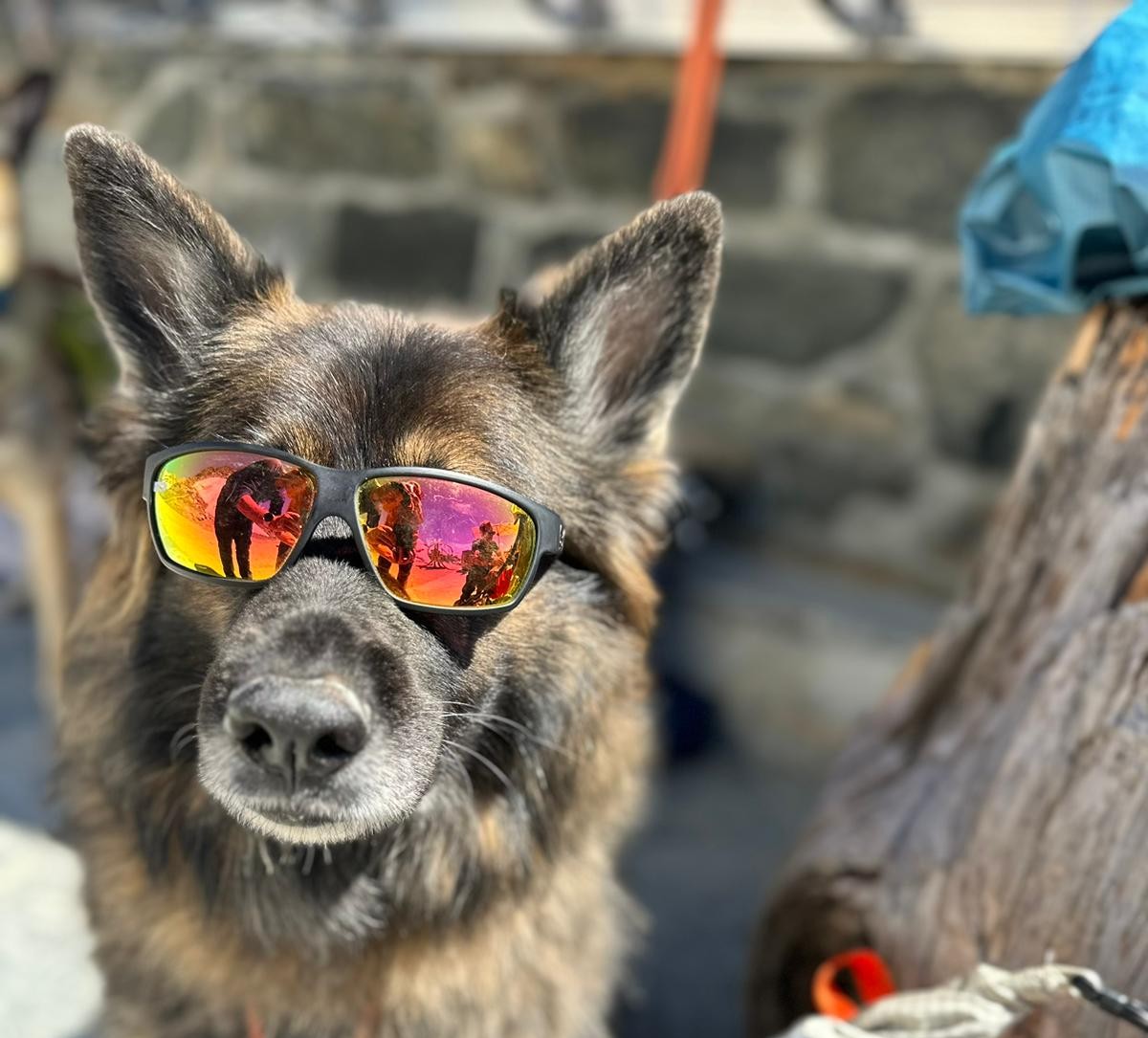  Schneeschuhtour mit Hund zu den Eisgrotten in Zermatt mit Blick aufs Matterhorn